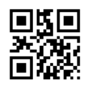 Veldtypes: Barcodescanning instellen - schermafbeelding 10